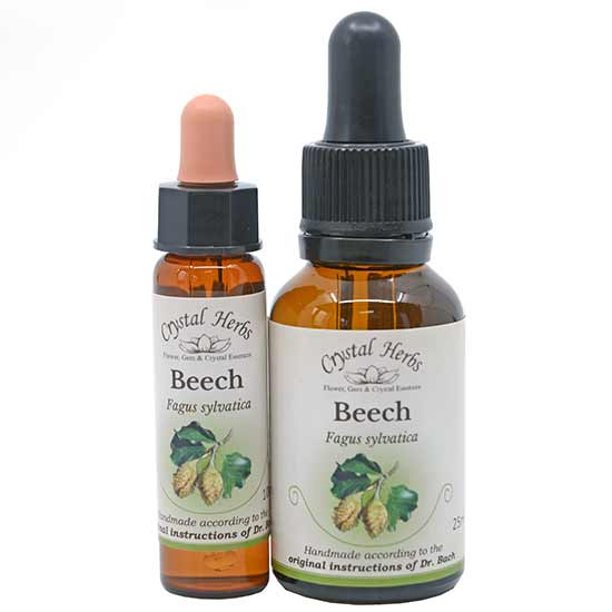 10ml und 25ml Essenzenflaschen der Bachblüte Beech