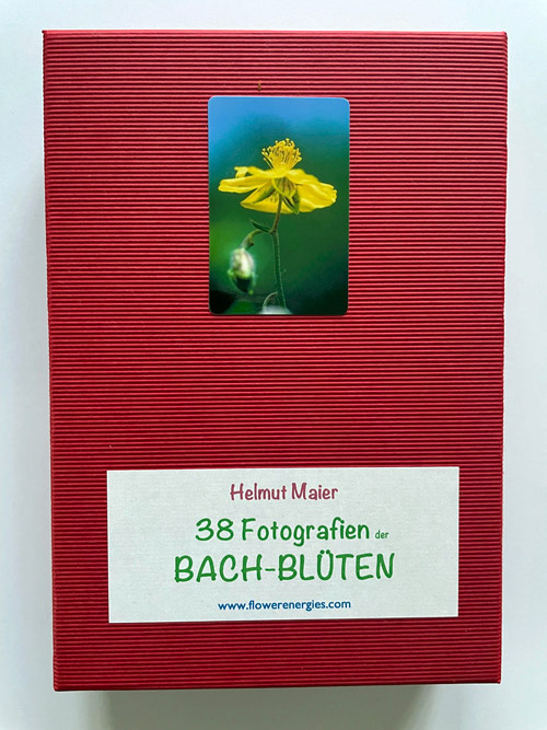 Rote Schachtel von Bach-Blüten Fotoset mit Rock Rose Foto
