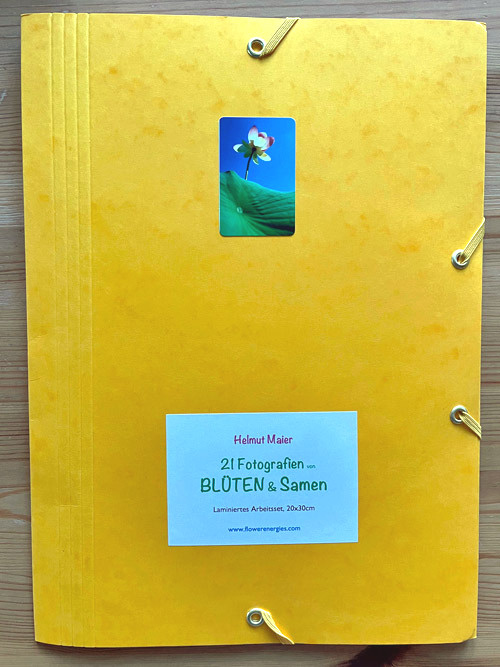 Gelbe Mappe von laminiertem Blüten & Samen Fotoset 20x30cm