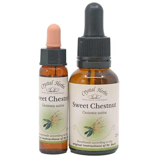 10ml und 25ml Essenzenflaschen der Bachblüte Sweet Chestnut