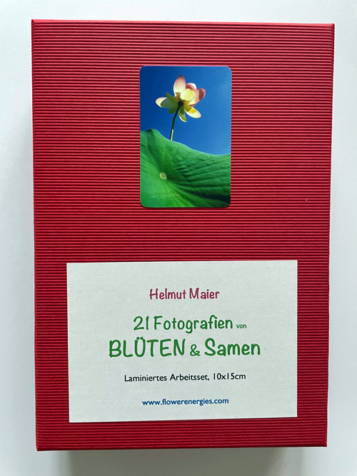 Rote Schachtel von Blüten & Samen Fotoset laminiert 10x15cm
