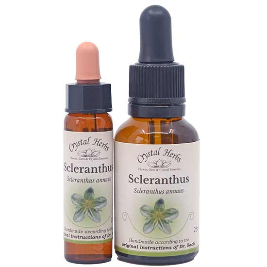 10ml und 25ml Essenzenflaschen der Bachblüte Scleranthus