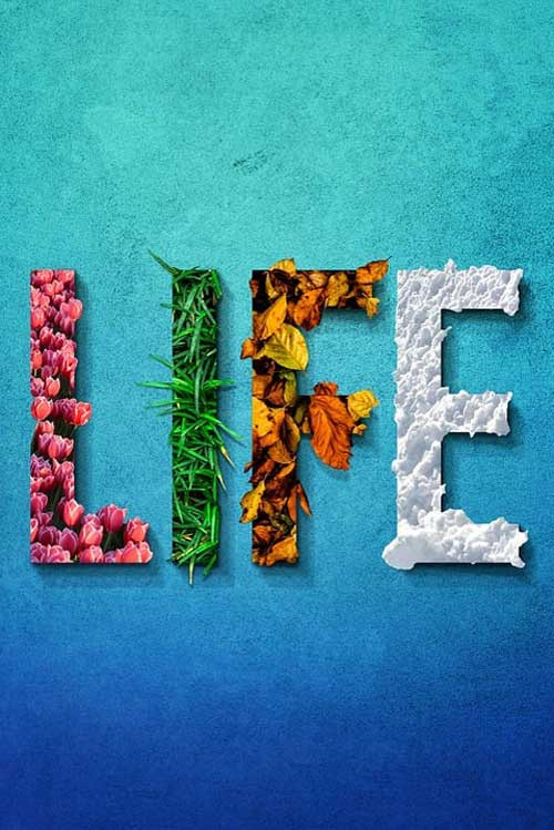 LIFE Buchstabenbild als Symbol für eine Lebensblüte