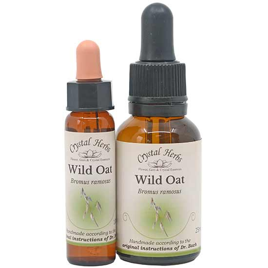 10ml und 25ml Essenzenflaschen der Bachblüte Wild Oat