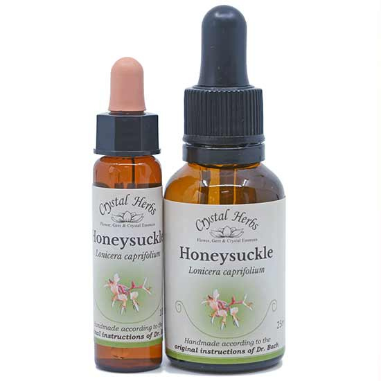 10ml und 25ml Essenzenflaschen der Bachblüte Honeysuckle