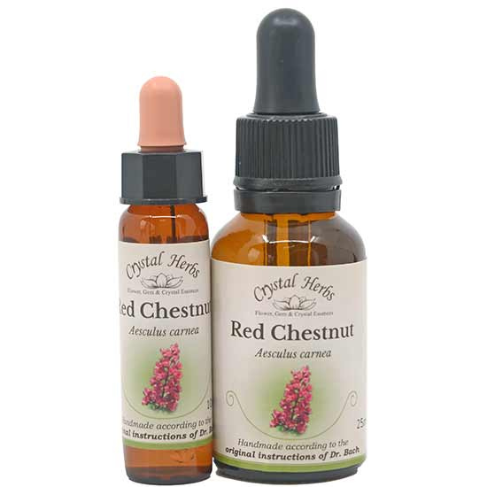10ml und 25ml Essenzenflaschen der Bachblüte Red Chestnut