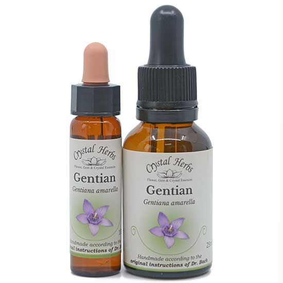 10ml und 25ml Essenzenflaschen der Bachblüte Gentian
