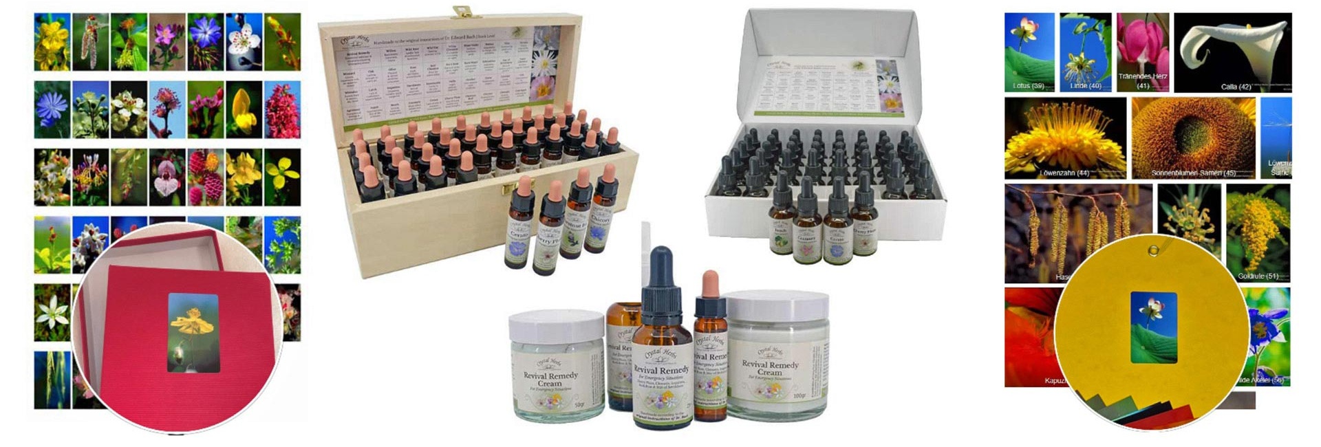Alle Bachblüten-Shop Artikel: Fotos + Sets, Essenzen + Sets