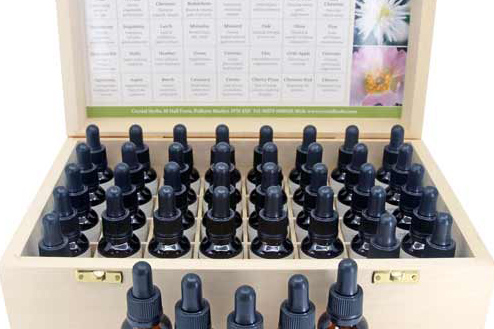 Offener Holzkasten mit 40 Bachblüten-Essenzen à 25ml