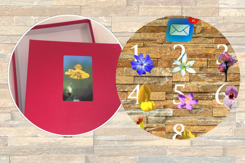 Angebote Bachblüten-Fotosets mit Monatsblüten-Jahresabo