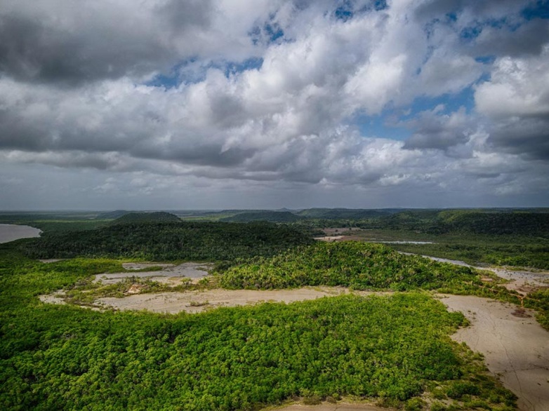 Wälder an der Atlantik-Küste Brasiliens