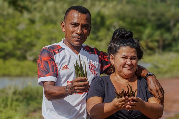 Mann und Frau halten Mangroven-Setzlinge in der Hand