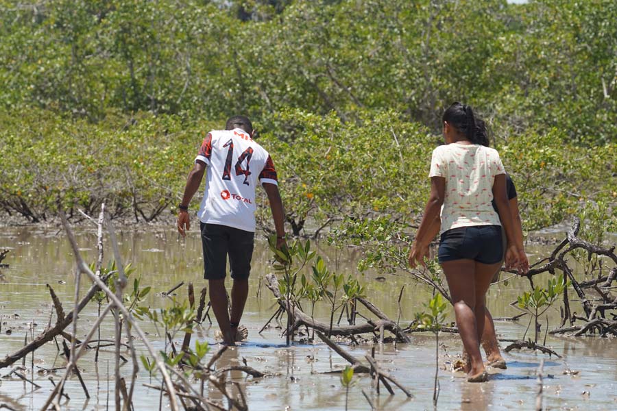 2 Mangroven-Pflanzer waten im Küstengewässer