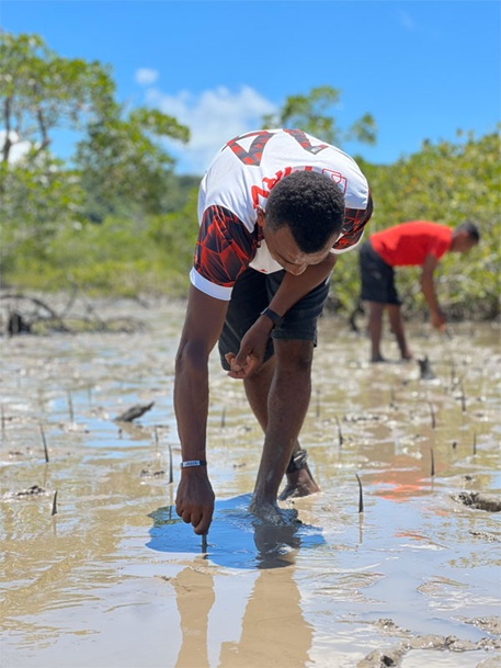 2 Männer setzen Mangroven-Setzlinge in Küstengewässer