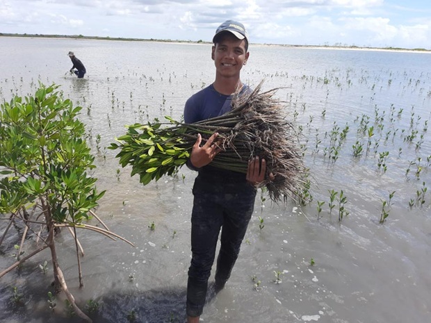 Baumpflanzer am Meeresrand hält Mangroven-Setling in Hand