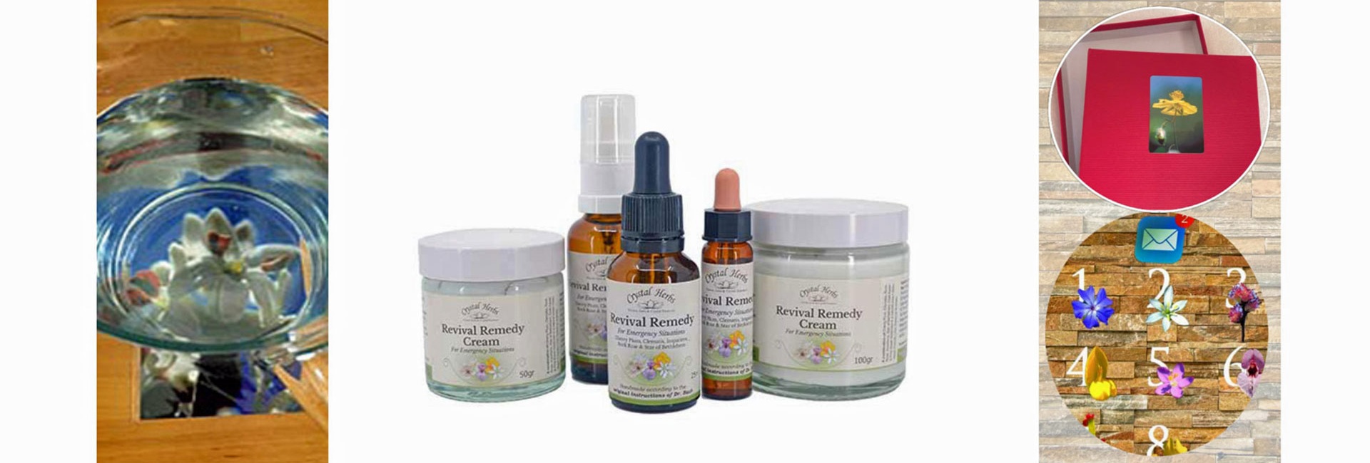 Spezielle Angebote: Monatsblüte, Essenzen, Fotosets und Monatsblüten-Abo